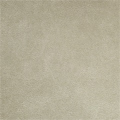 Outback Birch